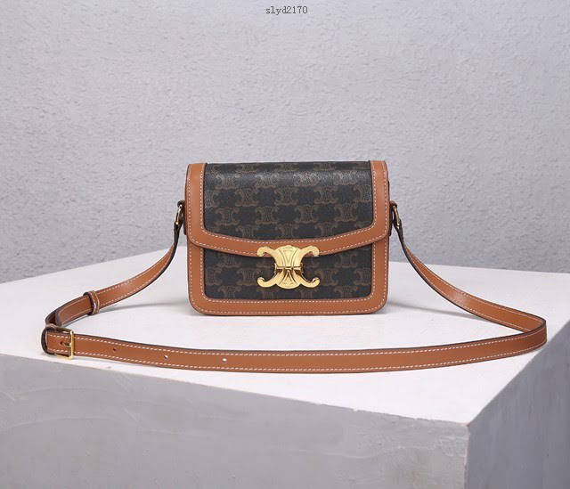 Celine女包 賽琳小號包包 最新帆布PVC Triomphe Canvas經典印老花單肩斜挎包 188423  slyd2170