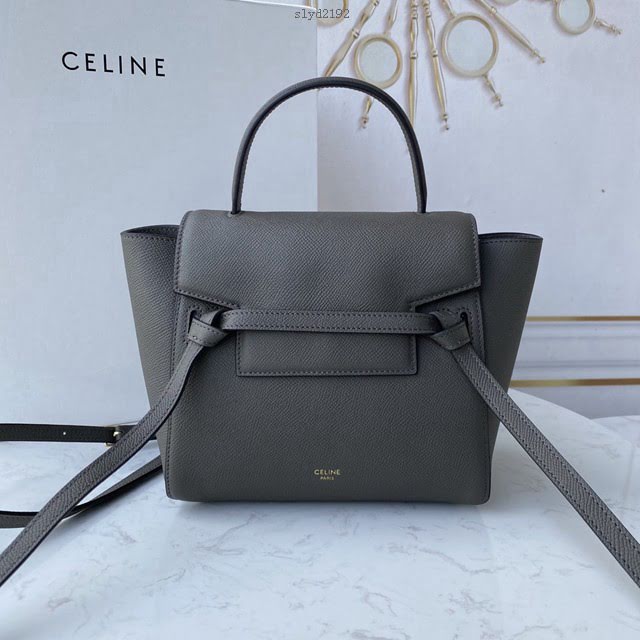Celine女包 賽琳經典款中號女包 Celine belt bag 掌紋牛皮鯰魚包 189153  slyd2192