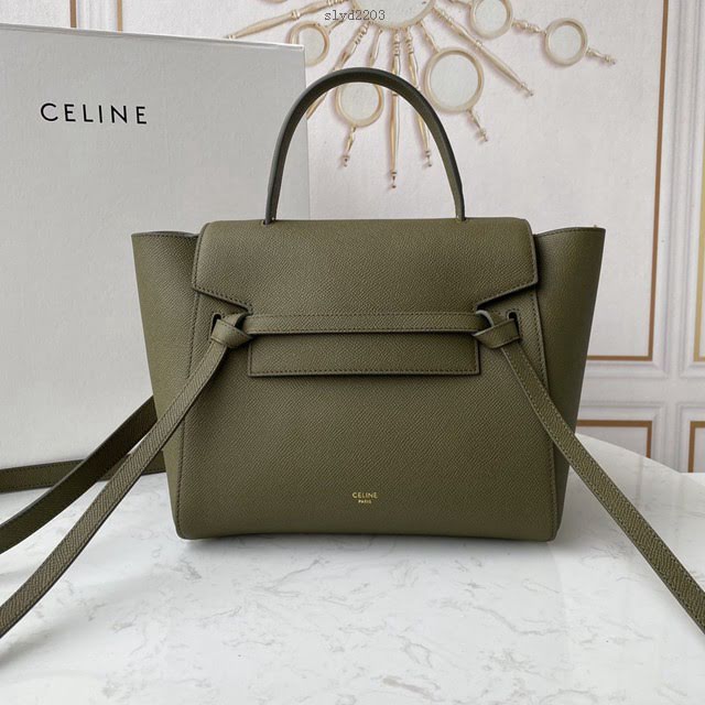 Celine女包 賽琳經典款大號女包 Celine belt bag 掌紋牛皮鯰魚包 189103  slyd2203
