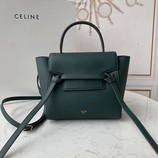 Celine女包 賽琳經典款中號女包 Celine belt bag 掌紋牛皮鯰魚包 189153  slyd2204