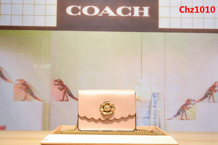 COACH蔻馳 24976 新款女士小挎包 小清新百搭 夏季必備款  Chz1010