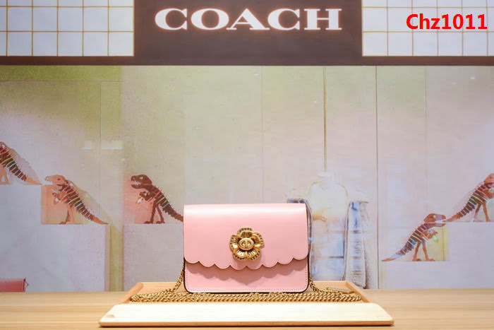 COACH蔻馳 24976 新款女士小挎包 小清新百搭 夏季必備款  Chz1011