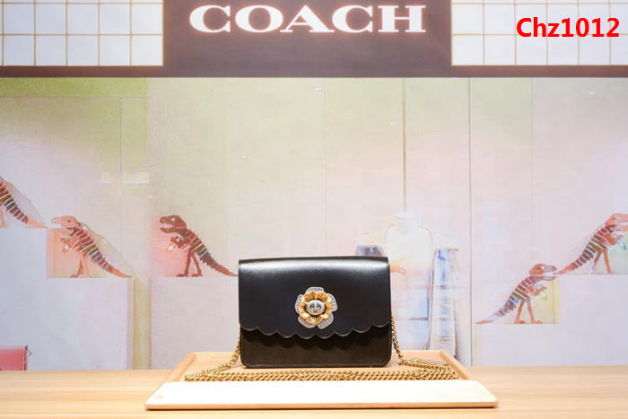 COACH蔻馳 24976 新款女士小挎包 小清新百搭 夏季必備款  Chz1012