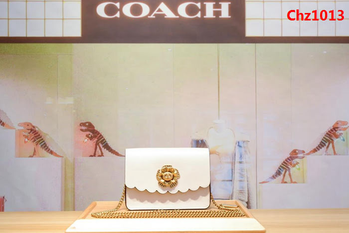 COACH蔻馳 24976 新款女士小挎包 小清新百搭 夏季必備款  Chz1013