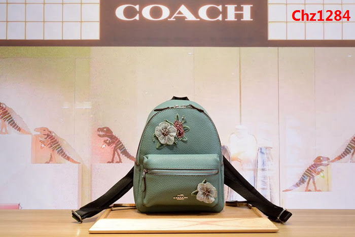 COACH蔻馳 原單全皮 c家28953 最新刺繡花朵 mini雙肩背包  Chz1284