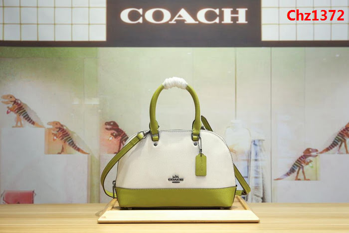 COACH蔻馳 海外代購品質 2018最新顏色 coach24589 全真皮小號貝殼包  Chz1372