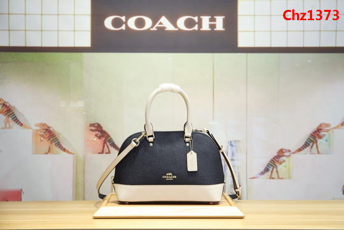 COACH蔻馳 海外代購品質 2018最新顏色 coach24589 全真皮小號貝殼包  Chz1373
