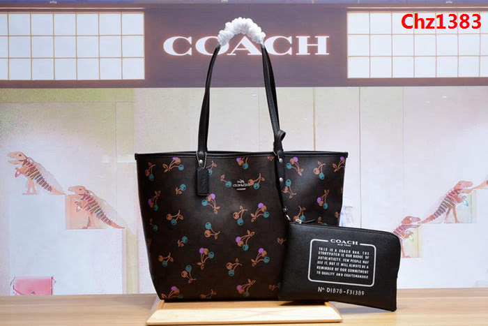 COACH蔻馳 新款 F31389 櫻桃2用子母袋 小化妝包包  Chz1383