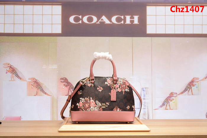 COACH蔻馳 貝殼包 印花系列 秋天不枯燥 31968 手提斜挎包  Chz1407