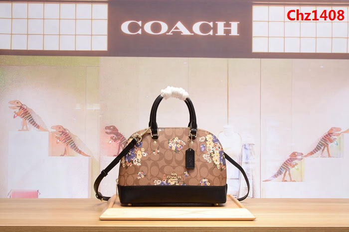 COACH蔻馳 貝殼包 印花系列 秋天不枯燥 31968 手提斜挎包  Chz1408