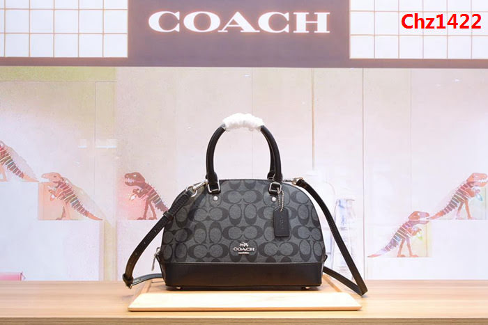 COACH蔻馳 原單級別 配頭層牛皮 貝殼包 37249 手提斜挎包  Chz1422