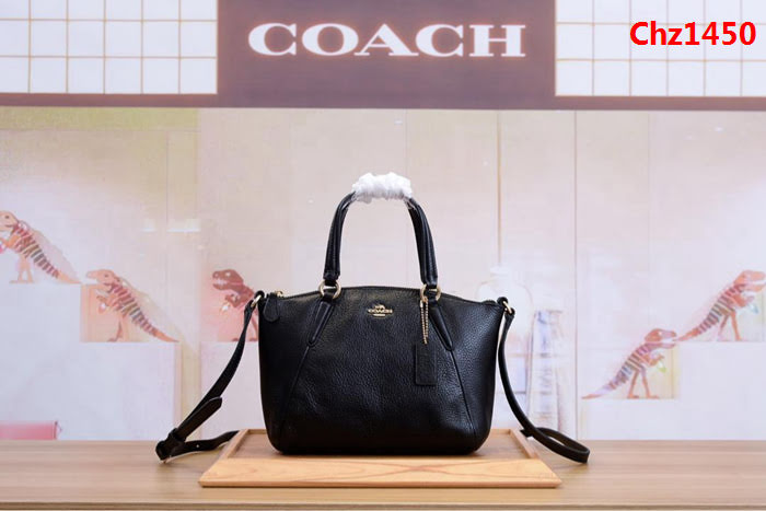 COACH蔻馳 原單coach mini款 59853 可愛款餃子包 全頭層牛皮材質  Chz1450