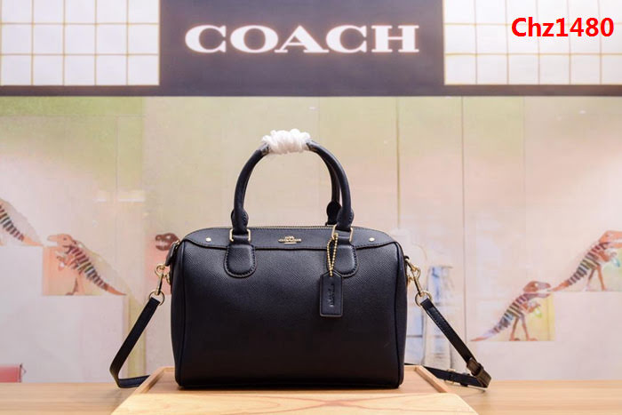 COACH蔻馳 專櫃品質 新款 波士頓拼色枕頭包 36624  Chz1480