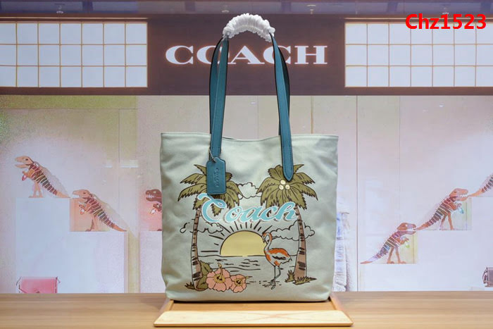 COACH蔻馳 女士新款 海灘椰子火烈鳥 帆布托特包 時尚單肩包 28077  Chz1523