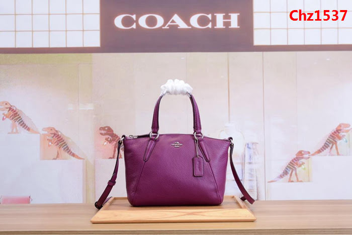 COACH蔻馳 mini款 59853 全頭層牛皮 餃子包 手提斜挎包  Chz1537