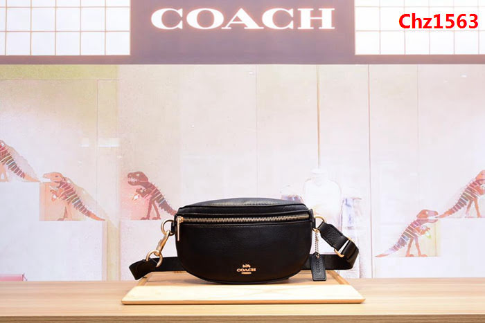 COACH蔻馳 原單新款 39939 真牛皮荔枝紋 女士腰包  Chz1563