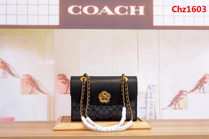 COACH蔻馳 爆款C家30585 復古拼色蛇紋配皮翻蓋挎包 鏈條肩帶 可單肩斜挎  Chz1603