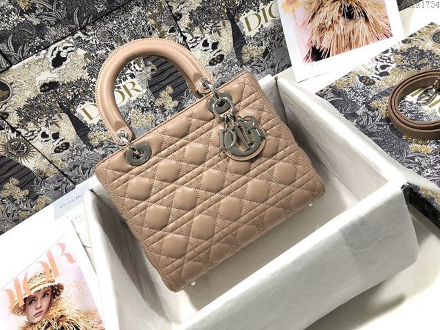 Dior女包 迪奧Lady Dior五格羊皮經典款戴妃包 Dior手提肩背斜挎包  dfk1734