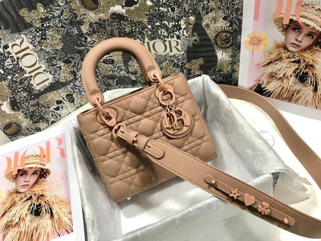 Dior女包 迪奧Lady四格磨砂徽章啞光戴妃包 Dior手提肩背斜挎包  dfk1814