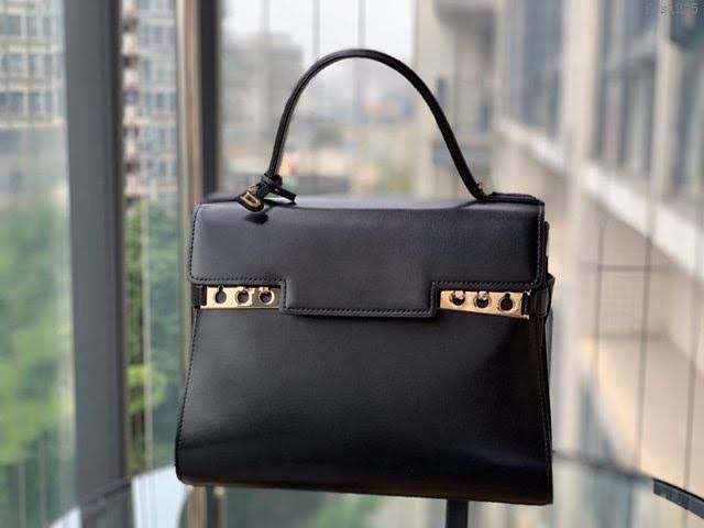 DELVAUX女包 比利時品牌 Tempete手袋 柔軟牛皮 德爾沃女手提包 中號手拎包 Delvaux單肩斜挎包 TP0028黑金扣  fcs1235