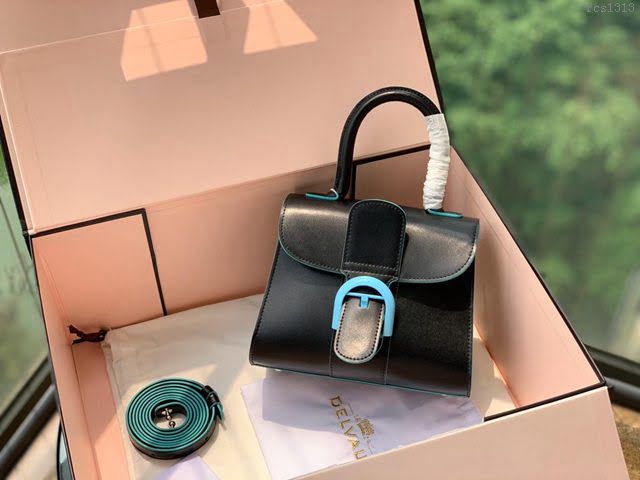 DELVAUX女包 國寶級包包 Magritte限量版 藍天白雲 德爾沃女手提包 Dv0020藍天白雲 淺藍色馬蹄扣  fcs1313