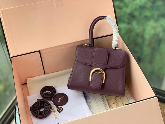 DELVAUX女包 春夏新款 Brillant系列手袋 德爾沃女手提包 女手腕包 Dv0020 枚紫色 Delvaux單肩包  fcs1328