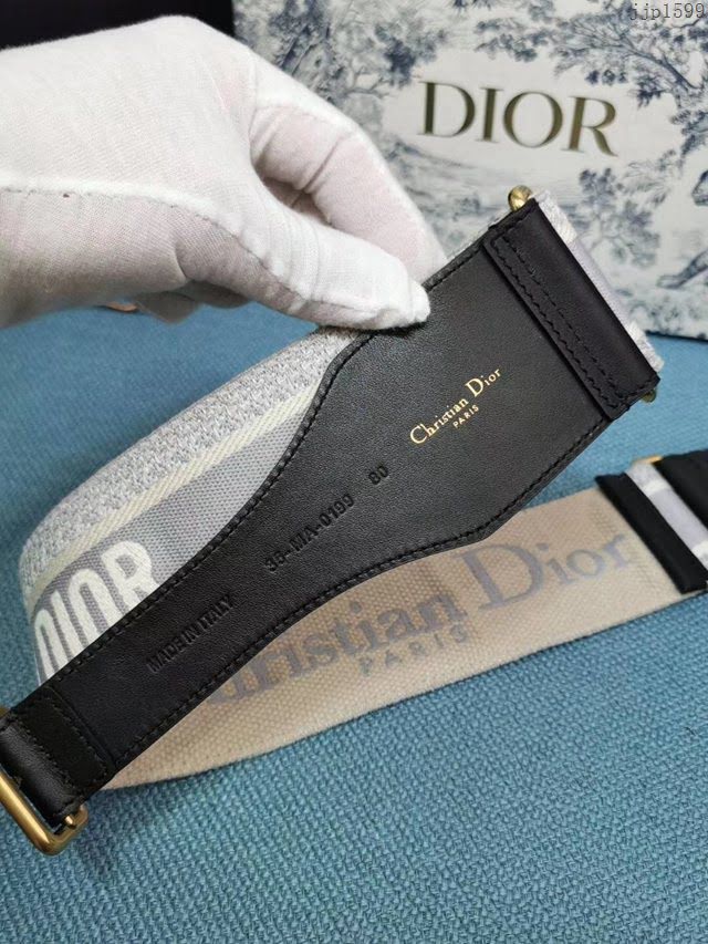 Dior女士腰帶 迪奧馬鞍線條腰帶  jjp1599