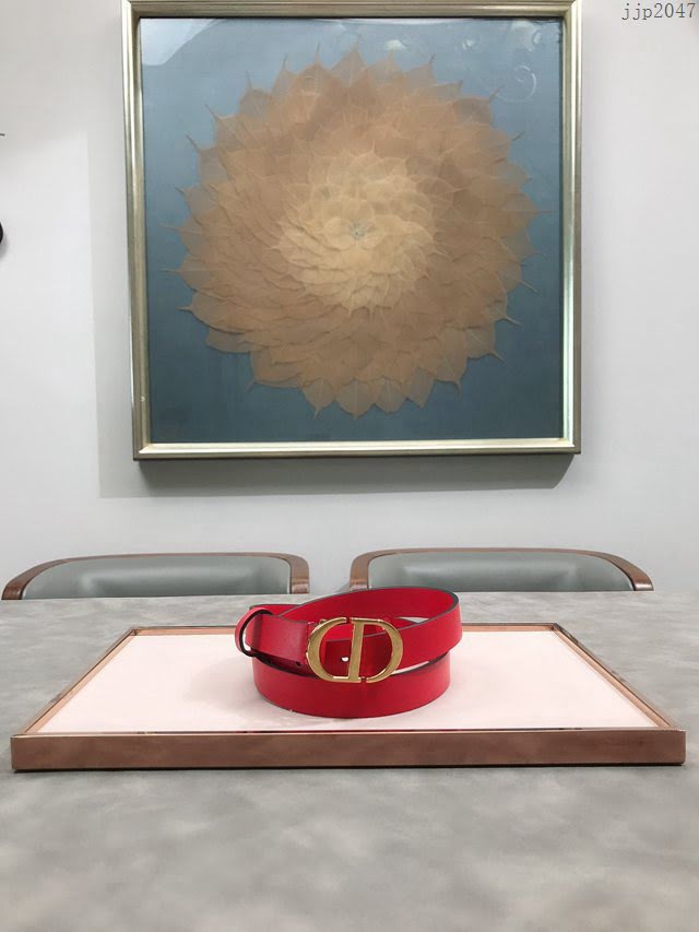 Dior女士腰帶 迪奧2020Maccarone系列腰帶  jjp2047