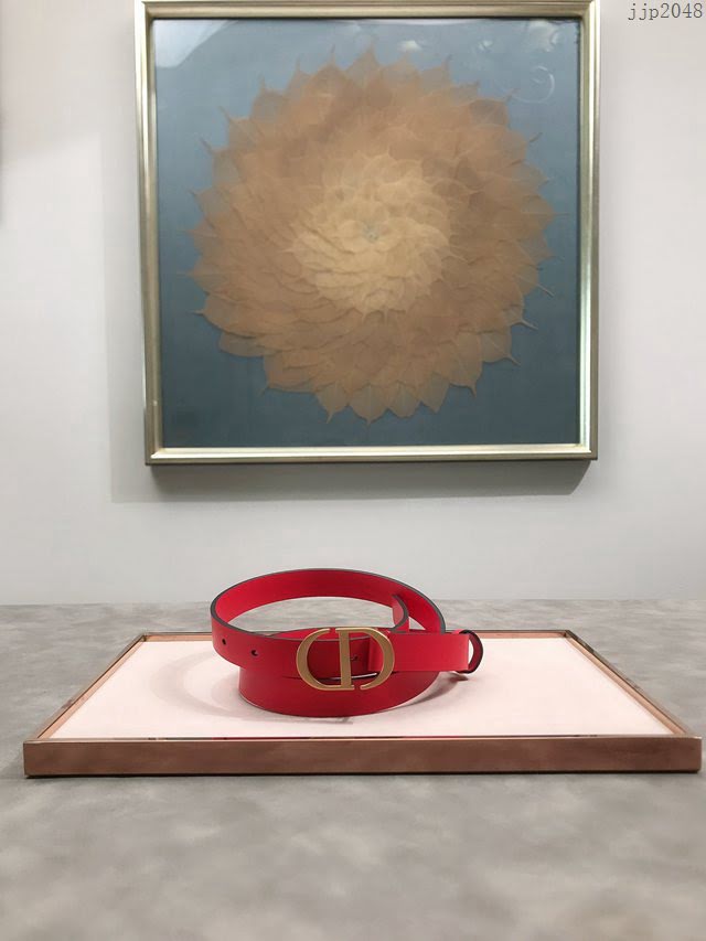 Dior女士腰帶 迪奧2020Maccarone系列腰帶  jjp2048
