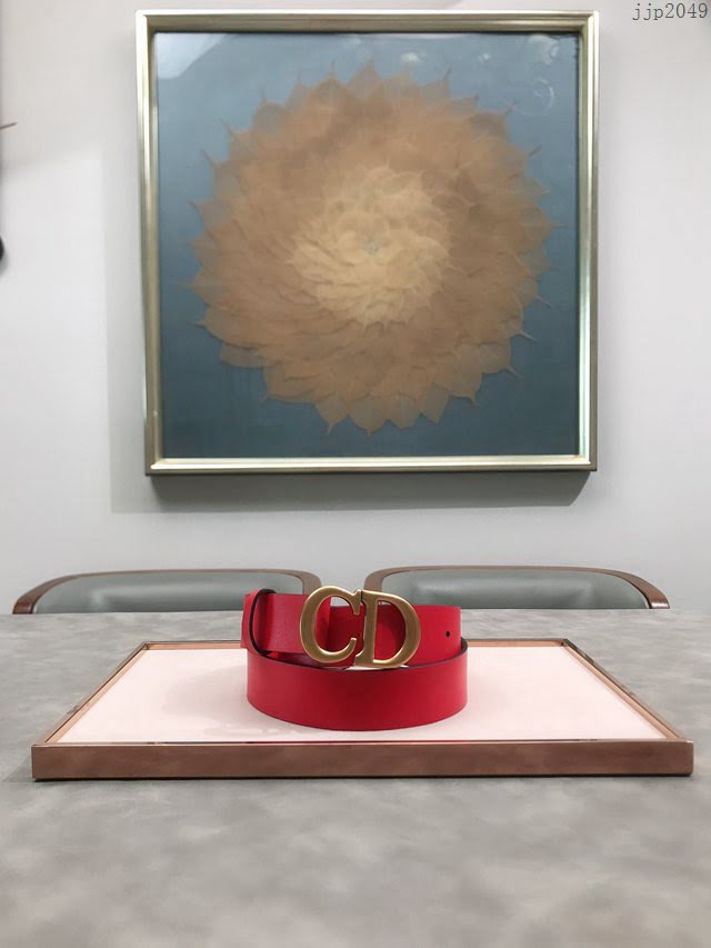 Dior女士腰帶 迪奧2020Maccarone系列腰帶  jjp2049