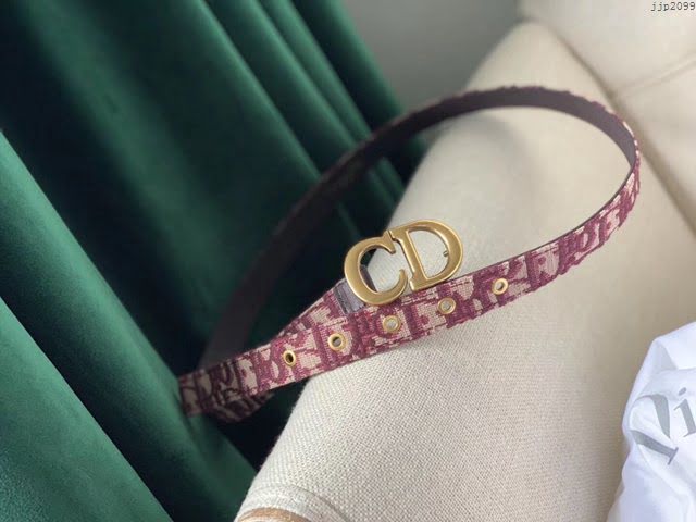Dior女士腰帶 迪奧老花紡布皮帶  jjp2099