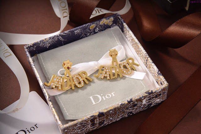 Dior飾品 迪奧經典熱銷款字母耳環 耳飾  zgd1072