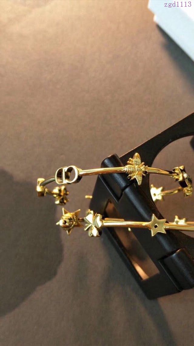 Dior飾品 迪奧經典熱銷款大圈耳釘耳環耳吊  zgd1113