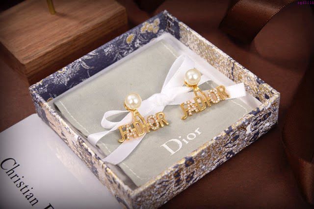Dior飾品 迪奧經典熱銷新款DIOR迪奧字母耳釘  zgd1114