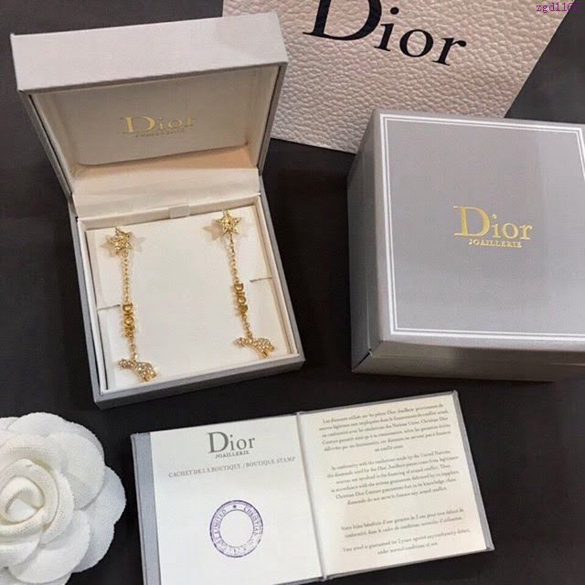 Dior飾品 迪奧經典熱銷款耳釘耳環吊環  zgd1162