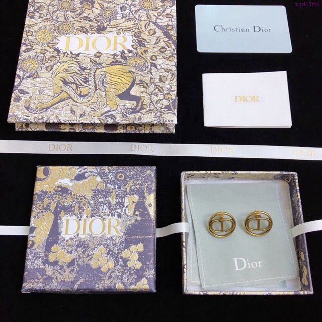 Dior飾品 迪奧經典熱銷款字母CD耳釘耳環  zgd1164