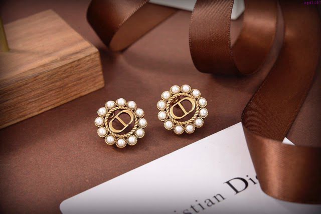 Dior飾品 迪奧經典熱銷款耳釘 小紅書爆款耳環  zgd1167