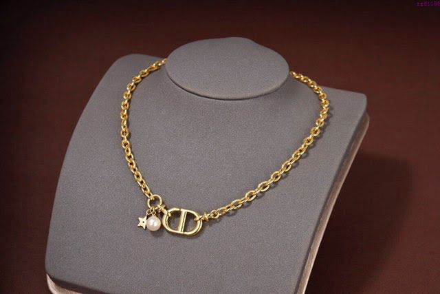 Dior飾品 2020新款DIOR迪奧字CD項鏈  zgd1186