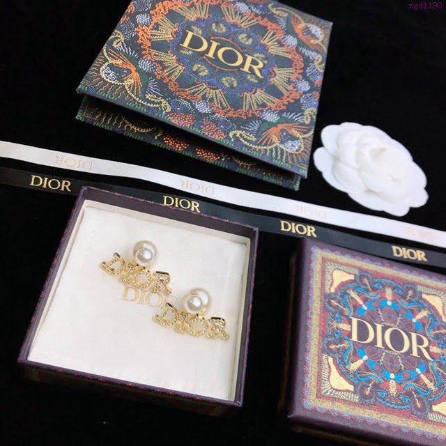 Dior飾品 2021新款DIOR迪奧字母耳釘耳環  zgd1190