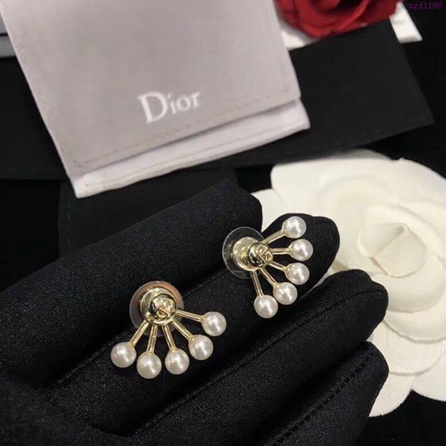 Dior飾品 迪奧經典熱銷款復古CD耳釘耳環  zgd1196