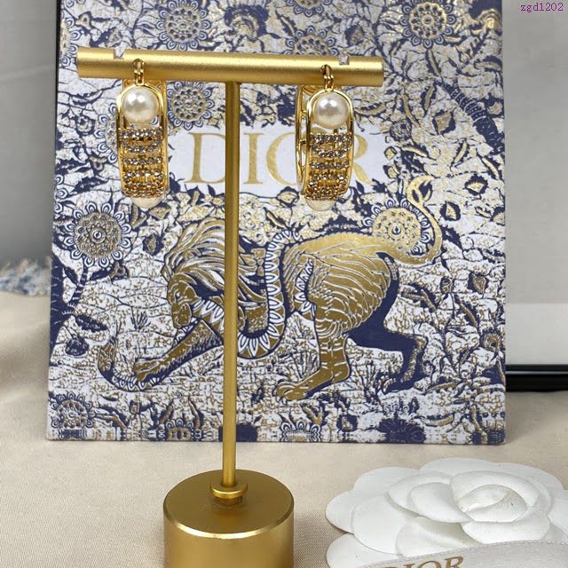 Dior飾品 專櫃最新款同步上新迪奧耳釘耳環  zgd1202