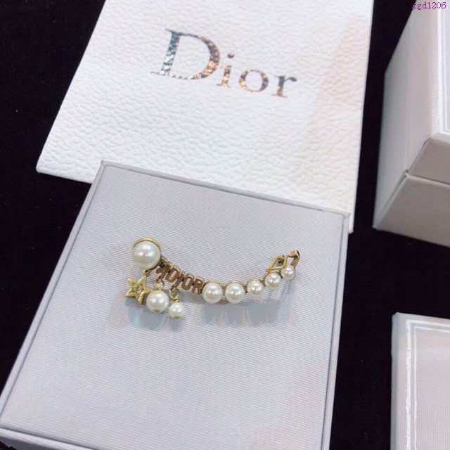 Dior飾品 迪奧經典熱銷款葉子耳夾連耳釘  zgd1206