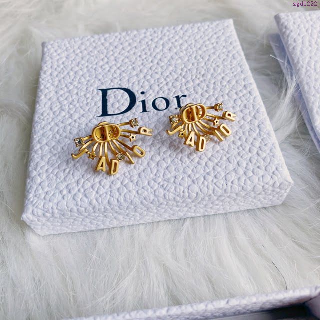 Dior飾品 迪奧經典熱銷新款耳環 金色復古字母CD耳釘  zgd1222