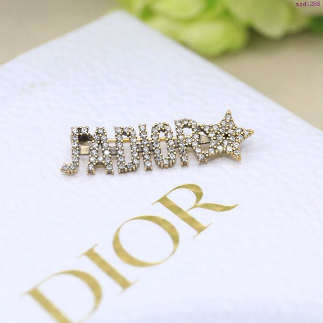 Dior飾品 迪奧經典熱銷款推薦款胸針胸花  zgd1286