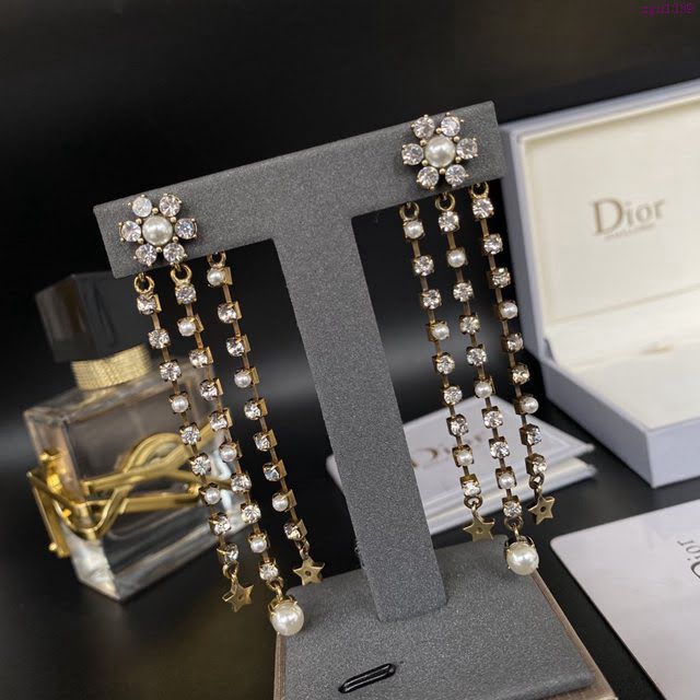 Dior飾品 迪奧經典熱銷專櫃款流蘇耳釘耳環  zgd1339