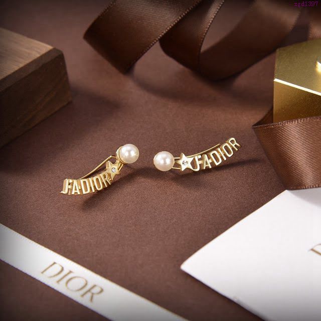 Dior飾品 2021新款DIOR迪奧字母耳釘耳環  zgd1397