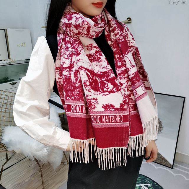 Dior圍巾 最新專櫃主打款 叢林系列羊絨圍巾 迪奧女羊絨披肩毯  llwj7061