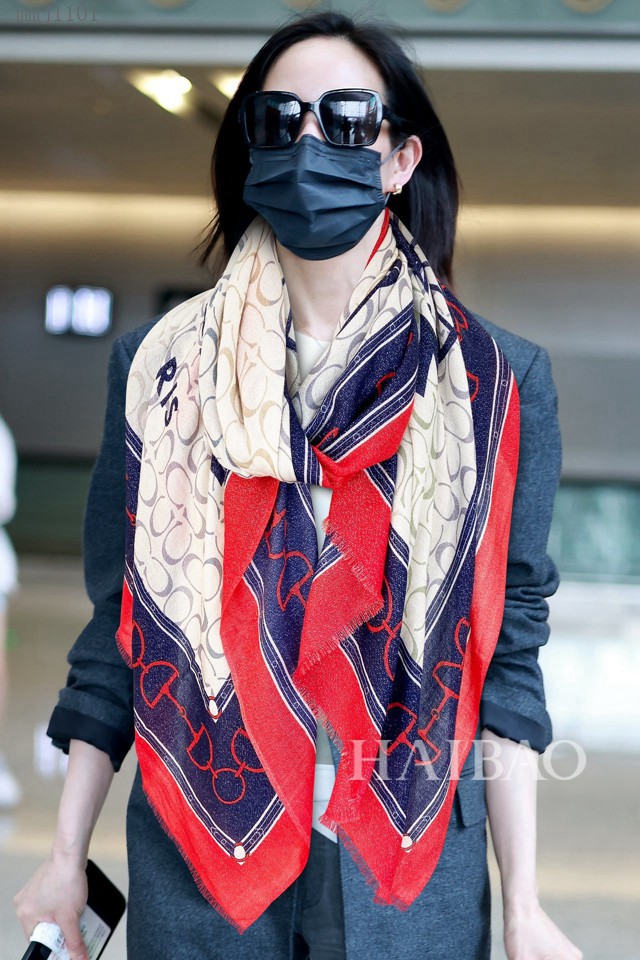 CELINE頂級純羊絨馬車銀線女士長巾 賽琳2021新款客供銀線羊絨長巾  mmj1101