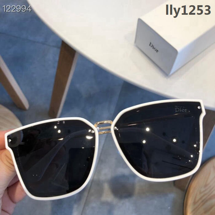 DIOR-迪奧 偏光鏡 2019新款 時尚高雅墨鏡 女士太陽鏡  lly1253