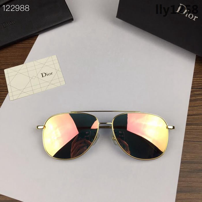 DIOR迪奧 官網同步 歐美風範 原單偏光 情侶款 太陽鏡  lly1258
